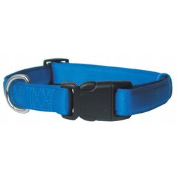 Obroża ZOLUX Cushion S (27 - 37 cm) Niebieski