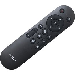 Pilot FIIO RM3