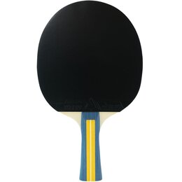 Paletka do ping ponga JOOLA Team Master