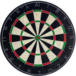 Tarcza do darta ENERO Pro Official Championship