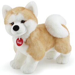 Maskotka TRUDI Klasyczne Akita Ascanio M 006-22664