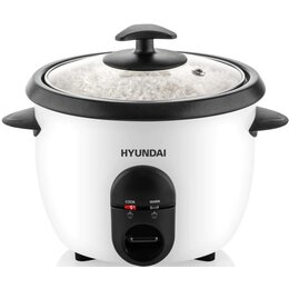 Ryżowar HYUNDAI RC100