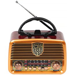 Radio BLOW RA10 Analogowe Pomarańczowy