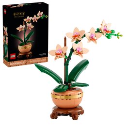 LEGO 10343 ICONS Botanicals Mała orchidea