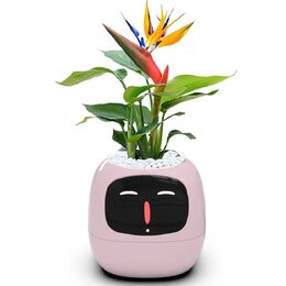 Doniczka inteligentna PLANTSIO IVY Wi-fi 0.122 L Różowy