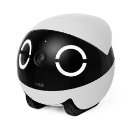 Robot monitorujący dla zwierząt ENABOT Rola Mini
