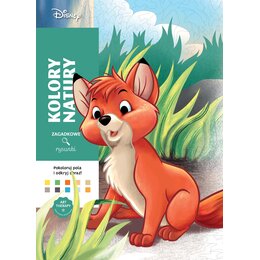 Kolorowanka Disney Zagadkowe rysunki Kolory natury (miękka okładka)