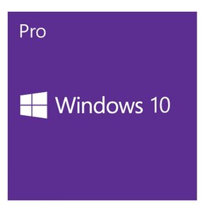 Program MICROSOFT Windows 10 Pro OEM