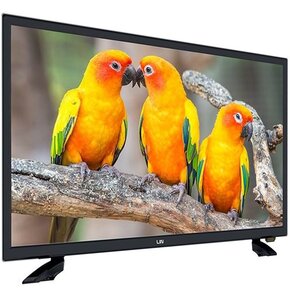 Telewizor LIN 24LHDD06 24" LED