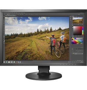 Monitor EIZO ColorEdge CS2420 24.1" 1920x1200px IPS