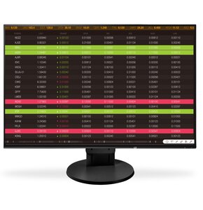 Monitor EIZO FlexScan EV2456-BK 24.1" 1920x1200px IPS