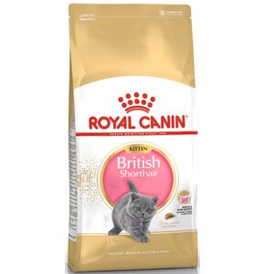 Karma dla kota ROYAL CANIN FBN British Shorthair Kitten 10 kg