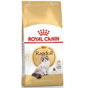 Karma dla kota ROYAL CANIN Ragdoll Adult Kurczak 2 kg