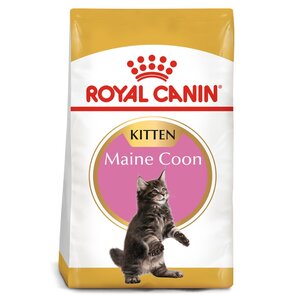 Karma dla kota ROYAL CANIN Maine Coon Kitten 10 kg