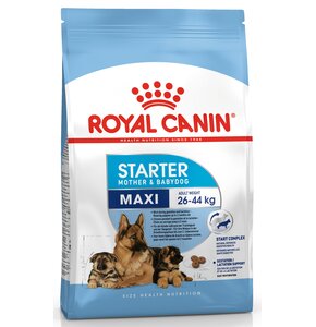 Karma dla psa ROYAL CANIN Maxi Starter Mother Babydog 15 kg