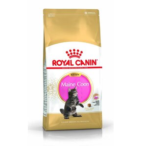 Karma dla kota ROYAL CANIN Kitten Maine Coon 2 kg