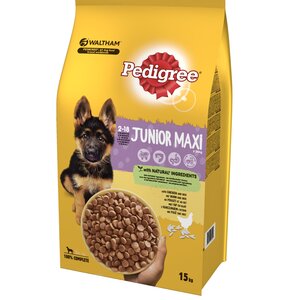 Karma dla psa PEDIGREE Junior Kurczak 15 kg