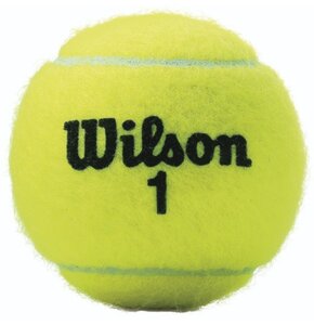 Piłka do tenisa ziemnego WILSON Championship (4 szt.)