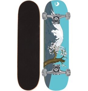 Deskorolka BEST SPORTING Mountain 303266