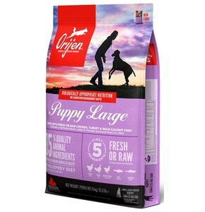 Karma dla psa ORIJEN Puppy Large Kurczak z indykiem i rybami 6 kg
