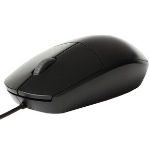 Mysz RAPOO N100 Czarny