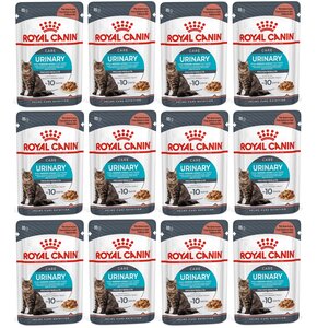 Karma dla kota ROYAL CANIN Urinary Care 12 x 85 g