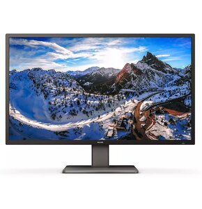 Monitor PHILIPS P-Line 439P1 42.51" 3840x2160px 4 ms
