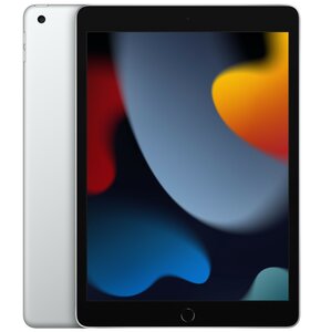 Tablet APPLE iPad 10.2" 9 gen. 256GB Wi-Fi Srebrny