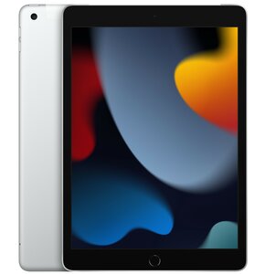 Tablet APPLE iPad 10.2" 9 gen. 256GB LTE Wi-Fi Srebrny