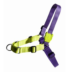 Szelki dla psa ZEE DOG Lemonade Soft Walk M