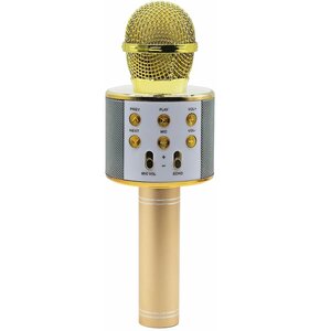 Głośnik mobilny MANTA MIC10-G z mikrofonem Złoty