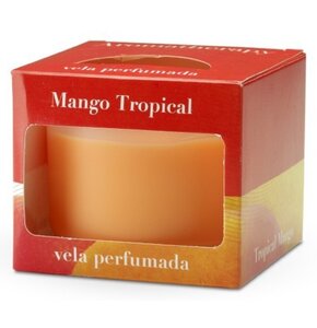Świeca zapachowa CERERIA MOLLA Cordoba Mango & Orange 150 g