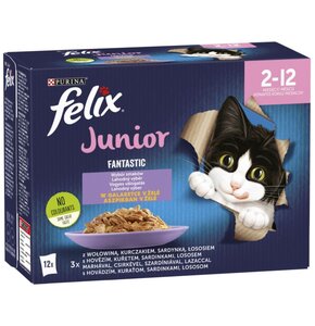 Karma dla kota FELIX Fantastic Junior Mix Smaków w galaretce (12 x 85 g)