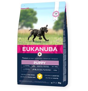 Karma dla psa EUKANUBA Junior Large Breeds Kurczak 15 kg