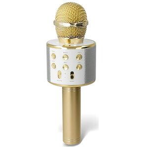 Mikrofon FOREVER BMS-300 Lite