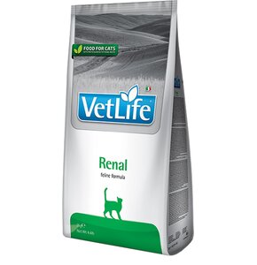 Karma dla kota FARMINA VetLife Renal 400 g
