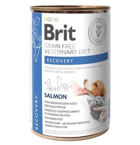 Karma dla psa BRIT Grain Free Veterinary Diets Dog & Cat Recovery Łosoś 400g