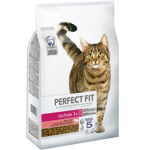 Karma dla kota PERFECT FIT Active Wołowina 7 kg