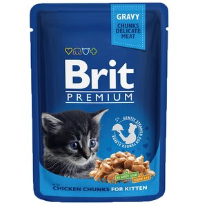 Karma dla kota BRIT Premium Kurczak 100 g