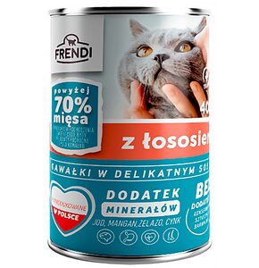 Karma dla kota FRENDI Łosoś 400 g