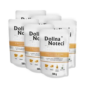 Karma dla psa DOLINA NOTECI Premium z bażantem, dynią i makaronem 6 x 100 g