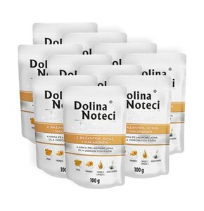 Karma dla psa DOLINA NOTECI Premium z bażantem, dynią i makaronem 10 x 100 g