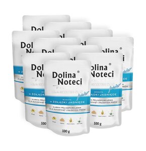 Karma dla psa DOLINA NOTECI Premium Junior bogata w żołądki jagnięce 10 x 100 g