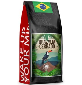 Kawa ziarnista BLUE ORCA COFFEE Brazylia Cerrado 1 kg