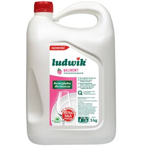 Płyn do mycia naczyń LUDWIK Malinowy 5000 g
