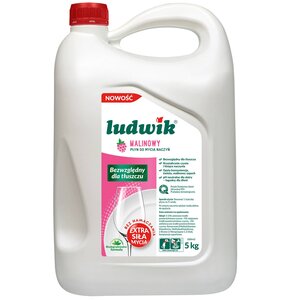 Płyn do mycia naczyń LUDWIK Malinowy 5000 ml