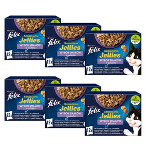 Karma dla kota FELIX Sensations Jellies Wybór smaków (72 x 85 g)
