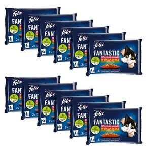 Karma dla kota FELIX Fantastic Wiejskie samki (48 x 85 g)