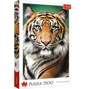 Puzzle TREFL Premium Quality Portret tygrysa 26204 (1500 elementów)