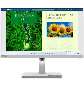 Monitor LENOVO L24m-40 23.8" 1920x1080px IPS 100Hz 4 ms